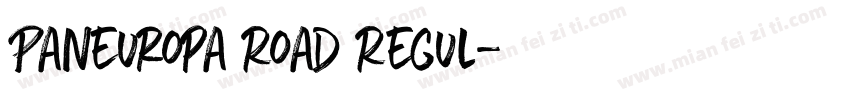 Paneuropa Road Regul字体转换
